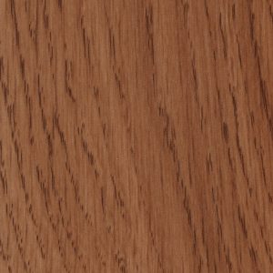 Cova Winchester 49240