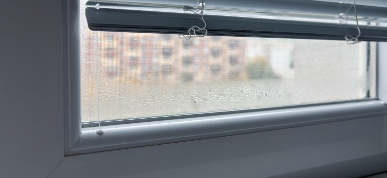 Rosenie okien – prečo vzniká a ako mu zabrániť?
