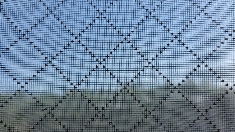 Protipeľové siete do okien: Účinná pomoc pri peľovej alergii