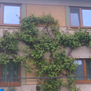 Referencia Brezno Referencia Brezno